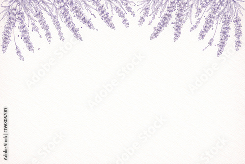 Peaceful lavender watercolor flower purple botanical illustration border background floral herbal blossom frame white paper nature art spring summer design