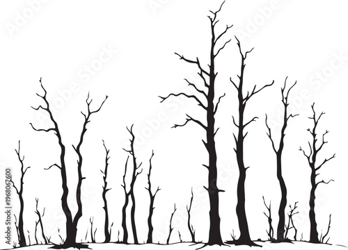 Burnt Trees after Wildfire in Forest (Natural Disaster) Hand-drawn Sketch Drawing Vector Illustration, Line Linear Symbol Black and White Engraving, Isolated