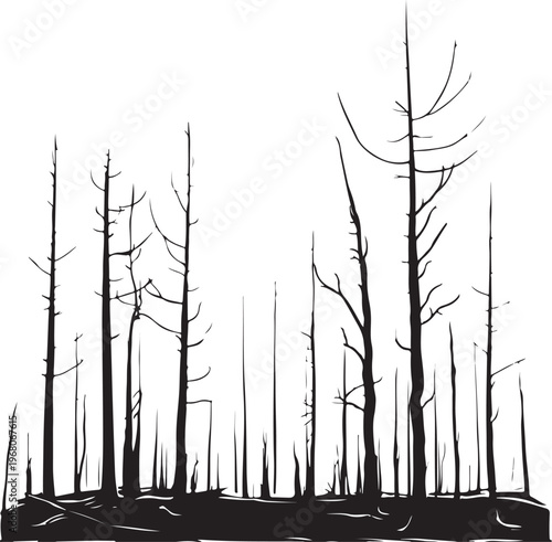Bare Burnt Forest Woods Trees after Wildfire Hand-drawn Sketch Drawing Vector Illustration, Line Linear Symbol Black and White Engraving, Isolated