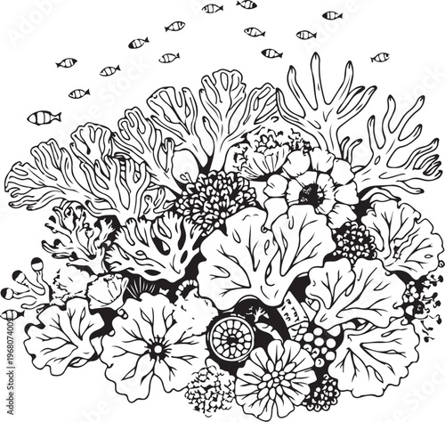 Coral Reef with Fish Hand-drawn Sketch Drawing Vector Illustration, Line Linear Symbol Black and White Engraving, Isolated