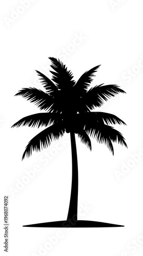 coconut tree silhouette palm tropical vector island beach outline art