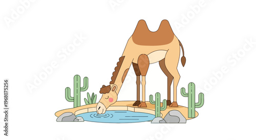 A camel drinks water from a desert oasis, surrounded by cacti and rocks, with a white background