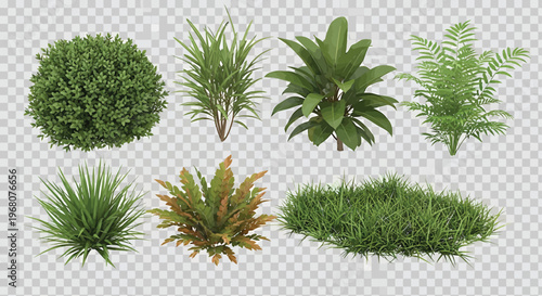 Green Plants Isolated on Transparent Background