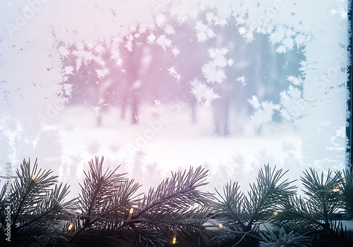 Winter window scene with pine branches and subtle lighting effects