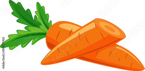 Illustration of a Carrot