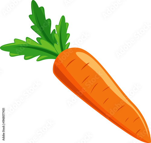 Illustration of a Carrot