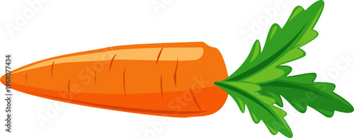 Illustration of a Carrot