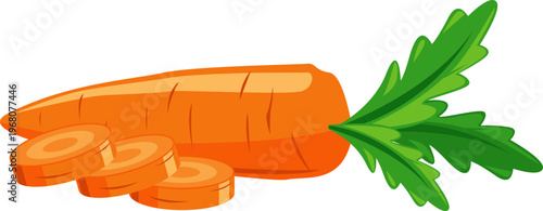 Illustration of a Carrot