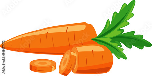 Illustration of a Carrot