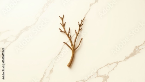 Dried branch with delicate twigs against a marble background