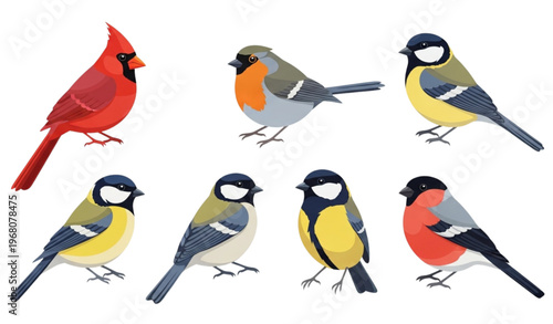 Playful cartoon wild bird collection with cardinal robin great tit and bullfinch in flat style
