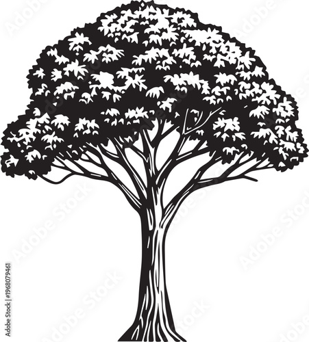 A detailed line drawing of a towering tree, its silhouette highlighting the intricate network of branches and leaves.