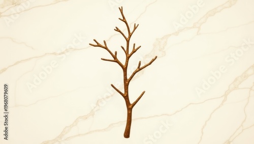 Dried branch with intricate network of twigs against a neutral background