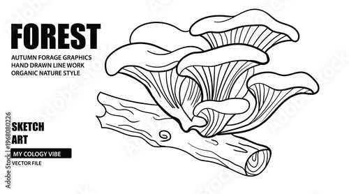 Forest mushroom cluster sketch on wooden branch nature line art.