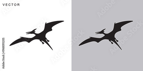 Pterodactyl dinosaur black silhouette vector illustration