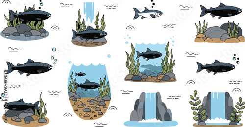 Salmon habitat and aquatic scenes collection with river underwater plants waterfalls and marine wildlife illustration set