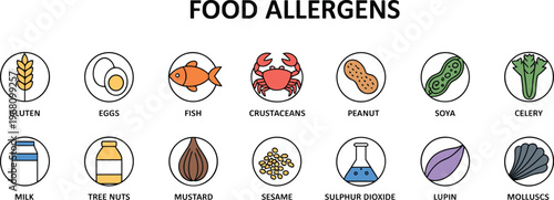 Common Food Allergens Icons Wheat Gluten Eggs Fish Crustaceans Peanut Soya Celery Milk vector illustration