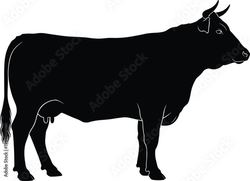 Black silhouette cow illustration with horns, udder, tail and legs, isolated farm animal vector for agriculture design