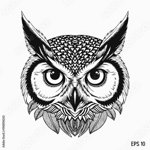 A detailed illustration of an owl's face with large eyes and feathers.