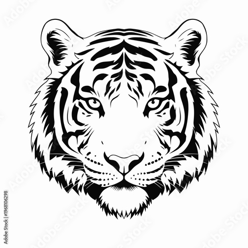 Close-up illustration of a tiger's face showcasing whiskers and intense gaze