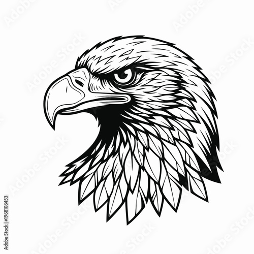 A striking illustration of an eagle's head showcasing sharp beak and intense gaze