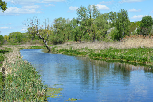 Scenic Oster River Landscape with Dry Willow Tree