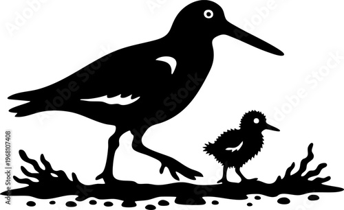 Black silhouette of adult bird and chick on muddy ground with plants.