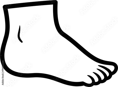 Human Foot Anatomy Illustration.