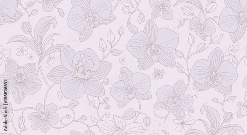 Delicate Orchid Floral Pattern, Soft Pastel Line Art Background
