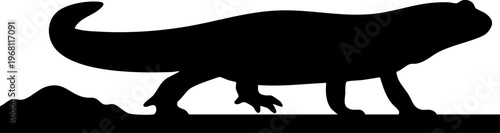 Lizard silhouette walking on rocky ground, representing wildlife and nature conservation.