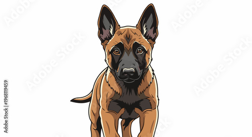 Stylized Belgian Malinois puppy with large ears looking forward