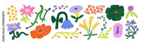 Flowers drawn in modern style. Whimsical doodle floral shapes, blooming plants, scribble blossoms, branches. Creative exotic botanical art. Flat vector illustrations isolated on white background