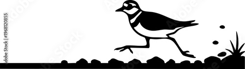 Running bird with pebbles and grass, vector graphic depicting wildlife in motion, outdoor scene.