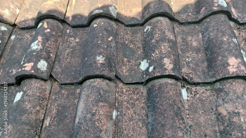 Weathered clay roof tiles with moss texture. Rustic building material and aged surface pattern.
