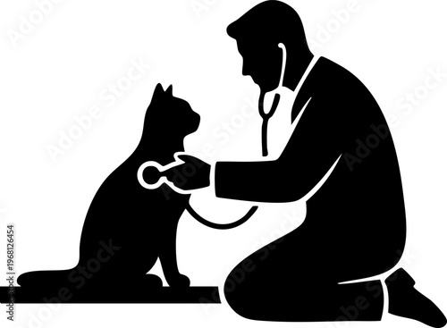 Veterinarian examining cat with stethoscope illustrating animal healthcare and pet medical services in veterinary clinics.