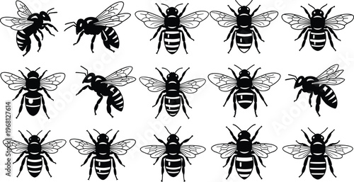 Collection of stylized black and white bee vector illustrations with detailed wings and striped bodies for design use