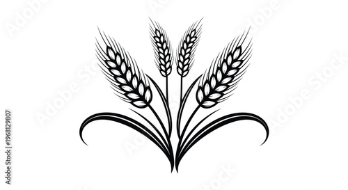 A delicate white orchid flower with intricate petal patterns