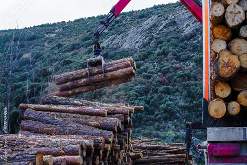 Canvas Print Logging truck loading timbers in san cabras soria