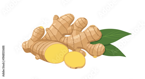 Vibrant illustration of fresh organic ginger root with green leaves and a clean white background depicting healthy cooking ingredient for natural