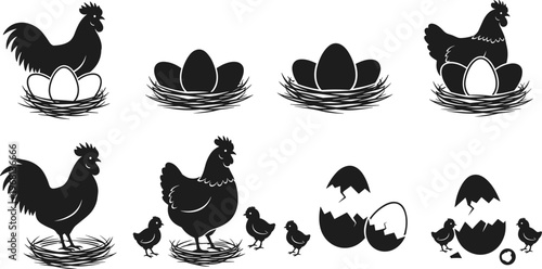 Collection of poultry life cycle silhouettes featuring hen and rooster with eggs in nests and hatching baby chicks for organic farm branding and agricultural education vector illustration projects.