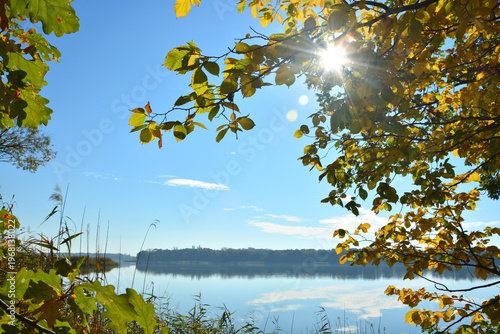 Herbstsonne scheint durch das Laub am Baum am See