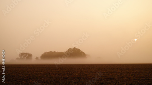Morgennebel mit Sonne über dem Feld