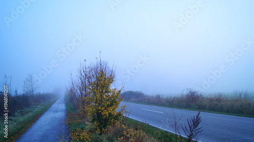 Straße im Nebel