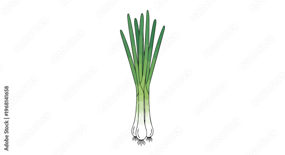 Obraz premium Vibrant fresh green onions illustration healthy culinary ingredient for gourmet dishes kitchen preparations ideal for recipe visuals food blogs