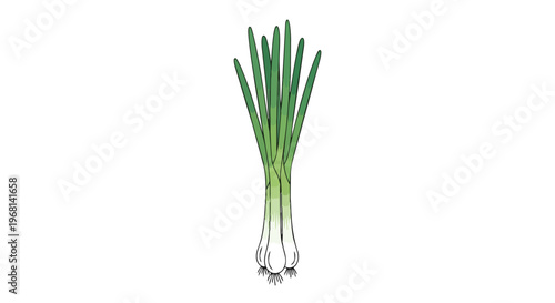 Vibrant fresh green onions illustration healthy culinary ingredient for gourmet dishes kitchen preparations ideal for recipe visuals food blogs