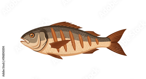 Striking digital illustration of an aquatic fish, showcasing its brown and beige scales, fins, and striped patterns.