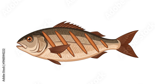 Detailed illustration of a fresh cooked fish showcasing perfect grill marks for culinary projects