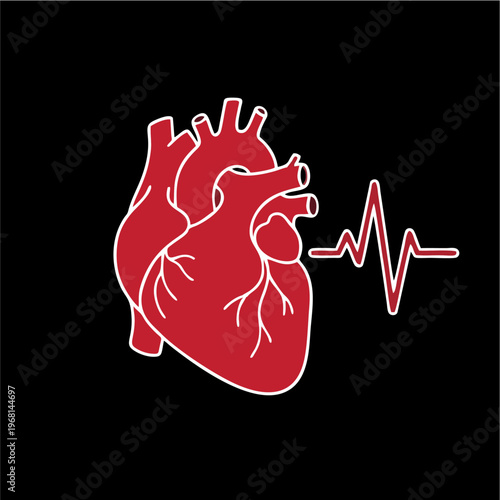 Human Heart with Electrocardiogram Line on Black Background.