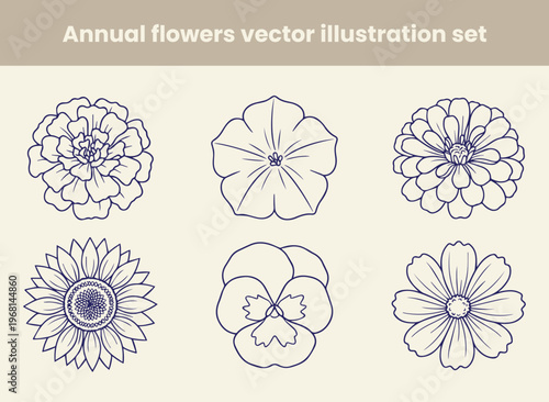 Collection of annual flowers vector illustration set depicting a marigold petunia zinnia sunflower pansy and daisy with outline drawing style.