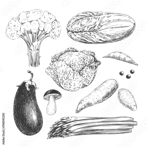 Set of vegetables. Black and white collection of vegetables. Engraving style broccoli, cauliflower, savoy cabbage, lettuce, eggplant, mushroom, sweet potato, asparagus, peas. Ingredients for cooking